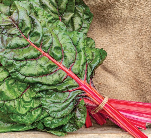 Chard Mangold Magenta Sunset 
